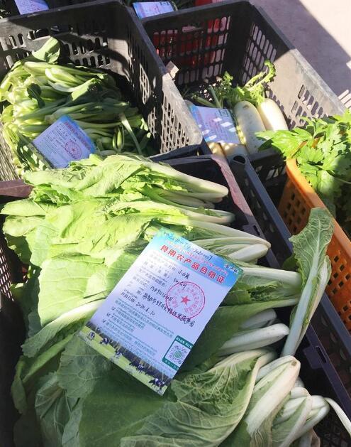 西藏全面推行食用農產品合格證制度 守護舌尖安全，賦能綠色發展