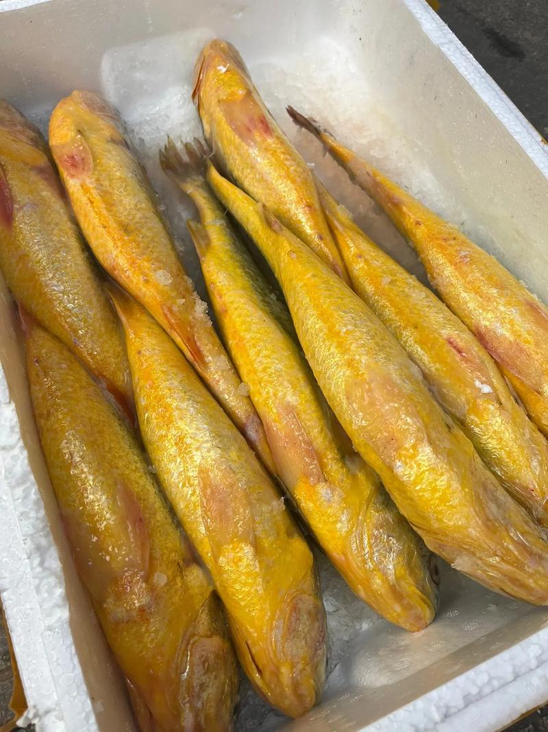 一縷椒江煙火氣 褚記食用農產品店的抖音時光