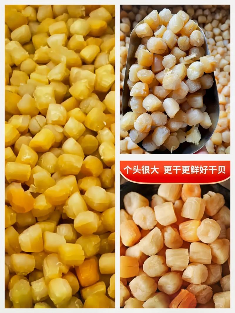 食用農產品大陸高品質中號瑤柱 約500頭左右斤精